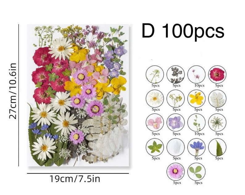 Jumbo Pack Dried Pressed Flowers and Leaves for Resin,Ready to Ship,Resin Supply,Wedding Card Making,Floral Arrangement,Frame Decorations D-100pcs