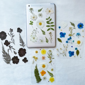 Inserto Kindle con fiori secchi laminati, regalo floreale unico, regalo per amanti dei libri, accessori per ebook, inserto Kindle floreale, inserto Kindle/iPad