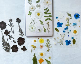 Laminated Real Dried Flowers Kindle Insert,Unique Floral Gift,Bookish Gift,Ebook Accessories,Floral Kindle Insert,Kindle/ipad Insert