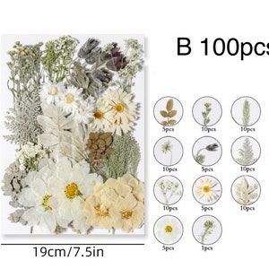 Jumbo Pack Dried Pressed Flowers and Leaves for Resin,Ready to Ship,Resin Supply,Wedding Card Making,Floral Arrangement,Frame Decorations B-100pcs