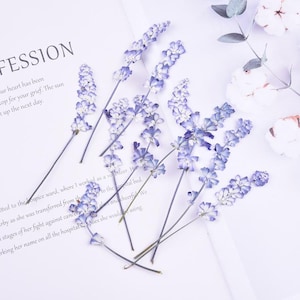 Natural Edible Pressed Dried Lavender,Food-Safe Pressed Leaves,Wedding Cake Decoration Flowers,Ready to Ship