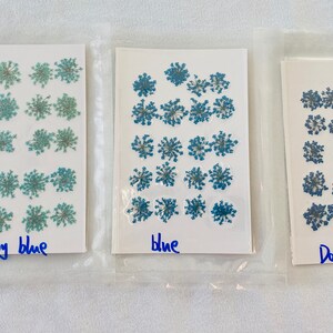 Dried Queen Anne's Lace Flower for resin, Jewelry DIY, Resin Supplies,Card Making Crafts,Pastel Room Color,Wedding,Resin Cast,Ready to ship image 7