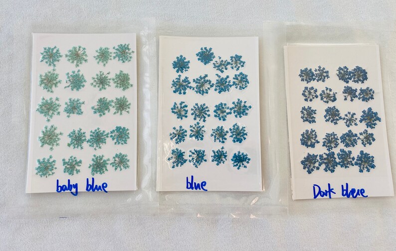 Dried Queen Anne's Lace Flower for resin, Jewelry DIY, Resin Supplies,Card Making Crafts,Pastel Room Color,Wedding,Resin Cast,Ready to ship image 7