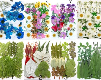 Dried Pressed Flowers and Leaves for Resin Crafts, DIY Jewelry
