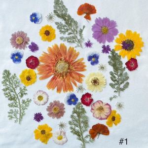 Può includere: Una collezione di fiori secchi di vari colori, tra cui arancione, giallo, viola e rosso, disposti su una superficie bianca. L'assortimento presenta diversi tipi di fiori e fogliame verde, con il numero "#1" nell'angolo in basso a destra.