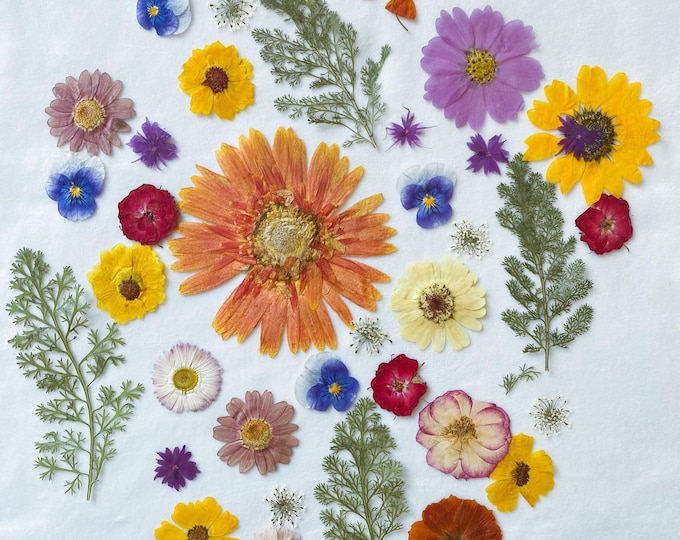 35pcs Natural Edible Pressed Dried Large Size Flowers&Leaves,Food-Safe Pressed Flowers,Wedding Cake Decoration Flowers,Ready to Ship