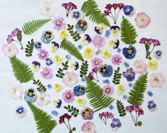 May include: A collection of pressed flowers and ferns in various shades of purple, pink, yellow, and blue. The flowers are arranged in a circular pattern on a white background.