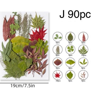 Jumbo Pack Dried Pressed Flowers and Leaves for Resin,Ready to Ship,Resin Supply,Wedding Card Making,Floral Arrangement,Frame Decorations J-90pcs