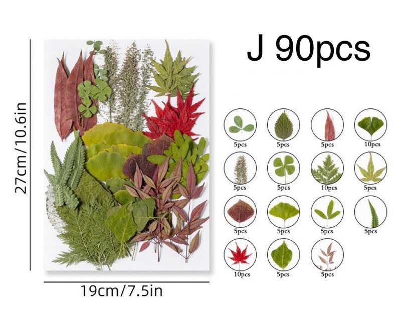 Jumbo Pack Dried Pressed Flowers and Leaves for Resin,Ready to Ship,Resin Supply,Wedding Card Making,Floral Arrangement,Frame Decorations J-90pcs