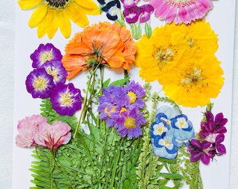 75 stks natuurlijke eetbare geperste bloemen en bladeren, voedselveilige geperste bloemen, bruidstaart decoratie bloemen, klaar voor verzending