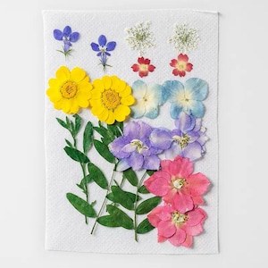Fleurs et feuilles séchées pressées pour résine, prêtes à être expédiées, bijoux à faire soi-même, fabrication de cartes de mariage, composition florale et fabrication de signets, fourniture de résine