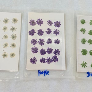 Dried Queen Anne's Lace Flower for resin, Jewelry DIY, Resin Supplies,Card Making Crafts,Pastel Room Color,Wedding,Resin Cast,Ready to ship image 6
