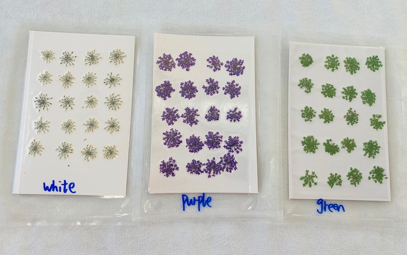 Dried Queen Anne's Lace Flower for resin, Jewelry DIY, Resin Supplies,Card Making Crafts,Pastel Room Color,Wedding,Resin Cast,Ready to ship image 6