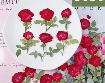 12pcs Natural Edible Pressed Dried Rose Flowers,Food-Safe Pressed Flowers,Cake Decoration Flowers,Ready to Ship,June Birth Flower