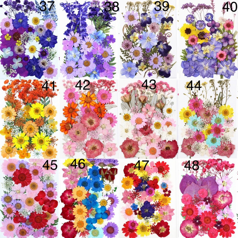May include: A collection of dried flowers in various colors, including blue, purple, yellow, orange, and red. The flowers are arranged in rectangular shapes, with each rectangle containing a different assortment of blooms. The image is well-lit, showcasing the natural colors and textures.