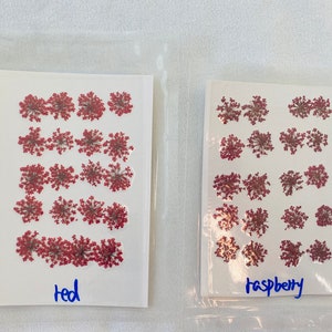Dried Queen Anne's Lace Flower for resin, Jewelry DIY, Resin Supplies,Card Making Crafts,Pastel Room Color,Wedding,Resin Cast,Ready to ship 20pcs-red