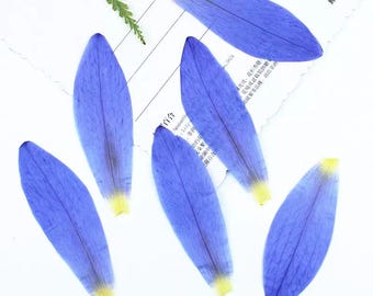 Natuurlijk eetbaar geperst gedroogd waterleliebloemblaadje, bloem, voedselveilige geperste bloemen, bloemen voor cakedecoratie, klaar voor verzending, paarse bloem