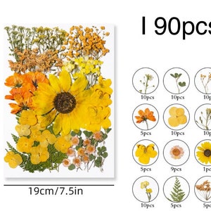 Jumbo Pack Dried Pressed Flowers and Leaves for Resin,Ready to Ship,Resin Supply,Wedding Card Making,Floral Arrangement,Frame Decorations I-90pcs