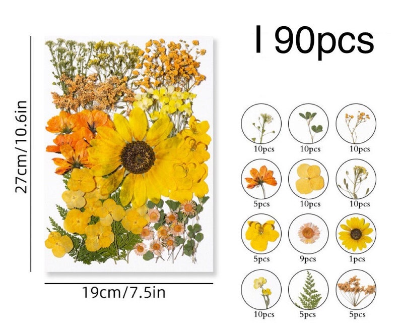 Jumbo Pack Dried Pressed Flowers and Leaves for Resin,Ready to Ship,Resin Supply,Wedding Card Making,Floral Arrangement,Frame Decorations I-90pcs