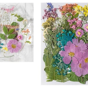 Paquet géant de fleurs et de feuilles séchées et pressées pour résine,Prêt à expédier,Résine fournie,Fabrication de cartes de mariage,Composition florale,Décoration de cadre