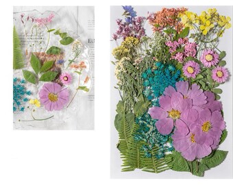 Jumbo Pack Dried Pressed Flowers and Leaves for Resin,Ready to Ship,Resin Supply,Wedding Card Making,Floral Arrangement,Frame Decoration