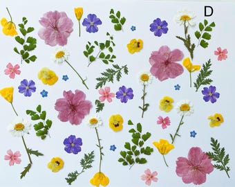 60 stks natuurlijke eetbare geperste bloemen en bladeren, voedselveilige geperste bloemen, bruidstaart decoratie bloemen, klaar voor verzending