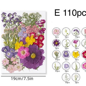 Jumbo Pack Dried Pressed Flowers and Leaves for Resin,Ready to Ship,Resin Supply,Wedding Card Making,Floral Arrangement,Frame Decorations E-110pcs