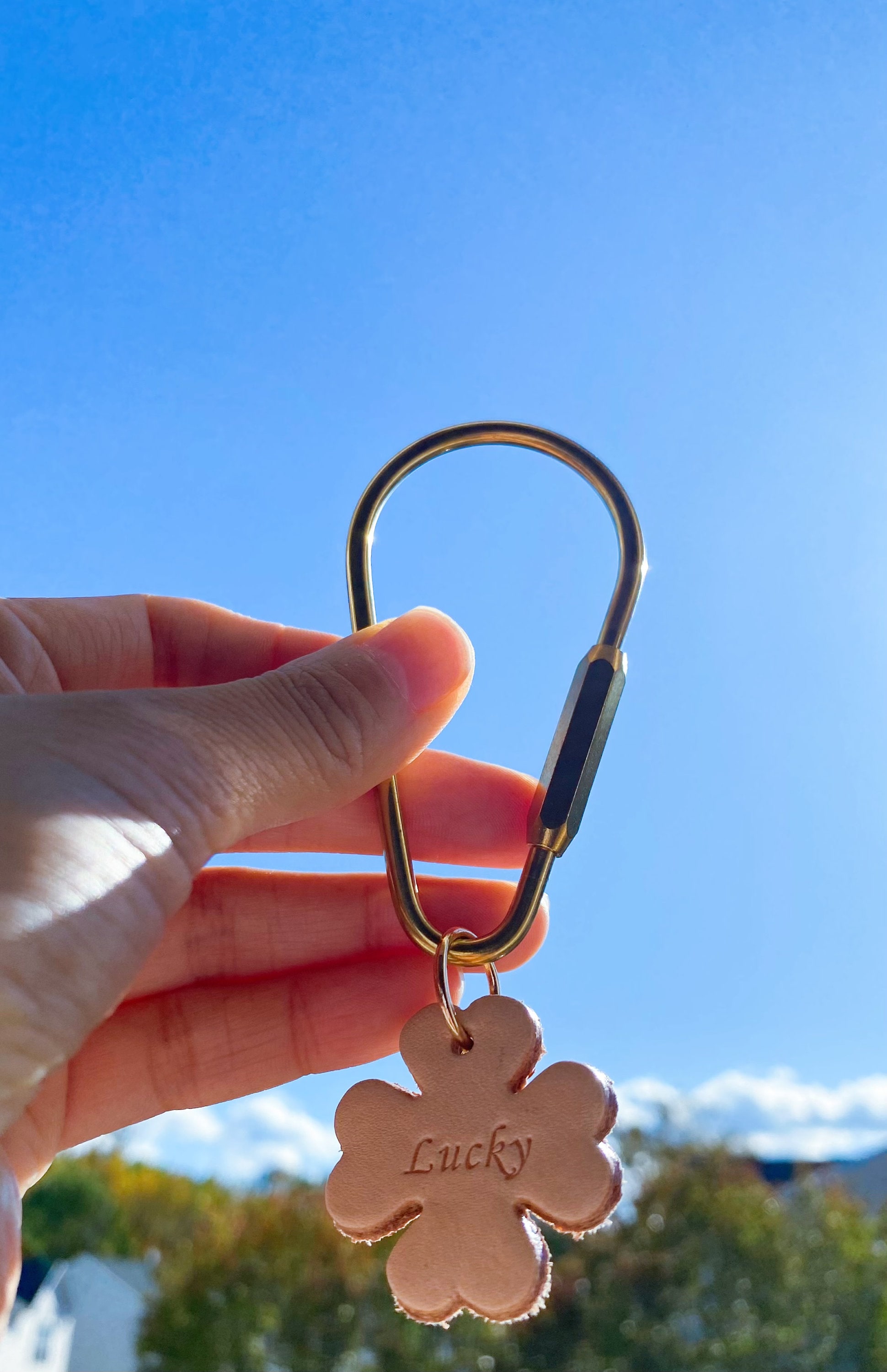PPFISH Durable Brass Screw Lock Clip Key Chain Ring, Simple Style Car  keychain for Men Women (2PCS)