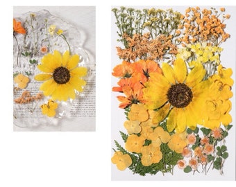 Jumbo Pack Dried Pressed Flowers and Leaves for Resin,Ready to Ship,Resin Supply,Wedding Card Making,Floral Arrangement,Frame Decoration