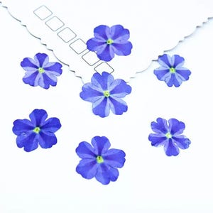 Natural Edible Pressed Dried Purple/Pink Verbena Flower,Food-Safe Pressed Flowers ,Cake Decoration Flowers,Ready to Ship