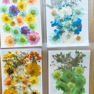 EN VENTE 4 paquets de 120 + fleurs séchées et feuilles pressées pour résine, fourniture de bijoux, fabrication de cartes de mariage, composition florale, décoration de cadre