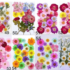 Fleurs et feuilles séchées pressées pour résine,Prêt à expédier,Bijoux à faire soi-même,Approvisionnement en résine,Fabrication de cartes de mariage,Composition florale,Décoration de cadres