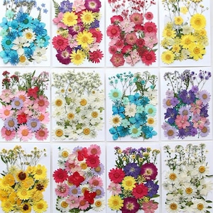 May include: A collection of twelve rectangular cards, each adorned with a vibrant assortment of dried flowers. The flowers display a spectrum of colors, including blues, pinks, yellows, and purples, creating a visually appealing floral arrangement. The cards are arranged in a grid.