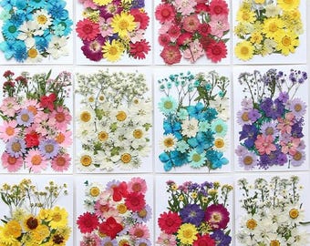 May include: A collection of twelve rectangular cards, each adorned with a vibrant assortment of dried flowers. The flowers display a spectrum of colors, including blues, pinks, yellows, and purples, creating a visually appealing floral arrangement. The cards are arranged in a grid.