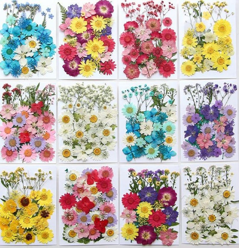 May include: A collection of twelve rectangular cards, each adorned with a vibrant assortment of dried flowers. The flowers display a spectrum of colors, including blues, pinks, yellows, and purples, creating a visually appealing floral arrangement. The cards are arranged in a grid.