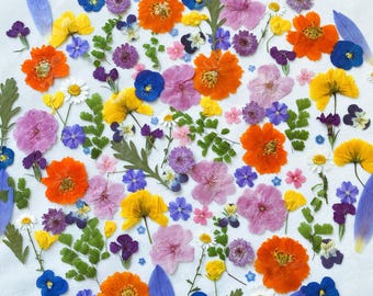 May include: A circular arrangement of pressed flowers in shades of purple, pink, yellow, orange, and blue. The flowers are arranged on a white background.