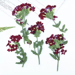 12 flores comestibles naturales de verbena híbrida, prensadas y aptas para uso alimentario, ideales para decorar tartas de boda, listas para enviar.