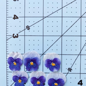 Mês de nascimento - fevereiro Flores violetas, joias DIY, suprimentos de resina, artesanato para fazer cartões, arte em unhas, molde de resina, pronto para envio