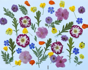 60 stks natuurlijke eetbare geperste bloemen en bladeren, voedselveilige geperste bloemen, bruidstaart decoratie bloemen, klaar voor verzending