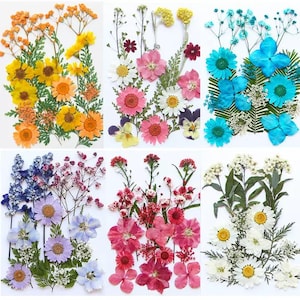 Flores y hojas prensadas secas para resina, listas para enviar, joyería de bricolaje, fabricación de tarjetas de boda, arreglos florales y marcapáginas, suministro de resina