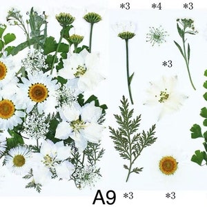 30 Getrocknete gepresste Blumen und Blätter für Harz, Versandfertig, Schmuck DIY, Harzversorgung, Hochzeitskartenherstellung, Blumenschmuck, Rahmendekoration