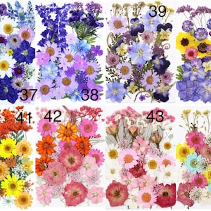 樹脂用の乾燥した押し花と葉、すぐに発送可能、ジュエリー DIY、樹脂供給、ウェディング カード作成、フラワー アレンジメント、フレーム装飾