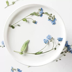 Könnte beinhalten: Ein weißer Keramikteller, verziert mit zarten blauen Vergissmeinnicht-Blüten und grünen Blättern. Die Blumen sind kunstvoll am Rand des Tellers angeordnet und schaffen eine natürliche, elegante Ästhetik. Die Komposition ist vor einem sauberen weißen Hintergrund.