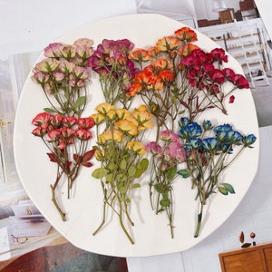 12 pezzi mini boccioli di rosa essiccati pressati con steli, pronti per la spedizione, fiori pressati, gioielli fai da te, forniture in resina, creazione di biglietti di nozze, nail art