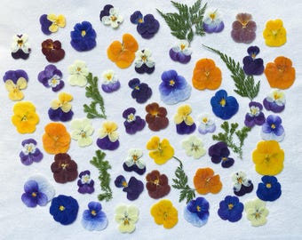 Natural Edible Pressed Dried Pansy Flower,Food-Safe Pressed Flowers ,Cake Decoration Flowers,Ready to Ship