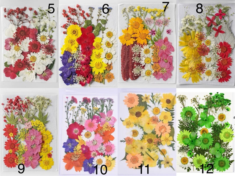 May include: A collection of twelve packets of dried flowers in various colors, including red, white, yellow, purple, and green. Each packet contains a unique arrangement of pressed flowers and foliage, perfect for crafting and decorative purposes.
