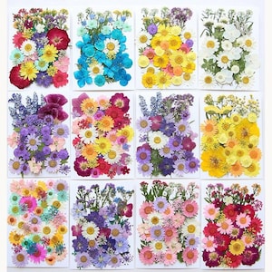 40 個の乾燥した押し花と樹脂用の葉、すぐに発送可能、ジュエリー DIY、樹脂供給、ウェディング カード/テーブル、フラワー アレンジメント、フレーム装飾