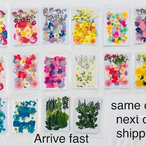 Flores e folhas secas prensadas para resina, prontas para envio, joias faça você mesmo, fabricação de cartões de casamento, arranjos florais e marcadores de página, fornecimento de resina