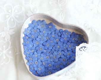 Puede incluir: Un plato en forma de corazón lleno de flores de nomeolvides secas azules.