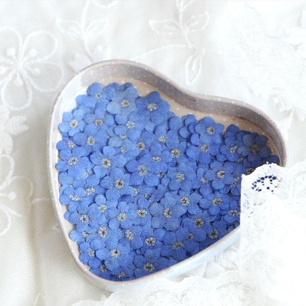 50/100pcs 0.4" Pressed Dried Forget me not for Resin,Ready to Ship,Pressed,Jewelry DIY,Resin Supply,Wedding Card Making,Nail Art,US Seller